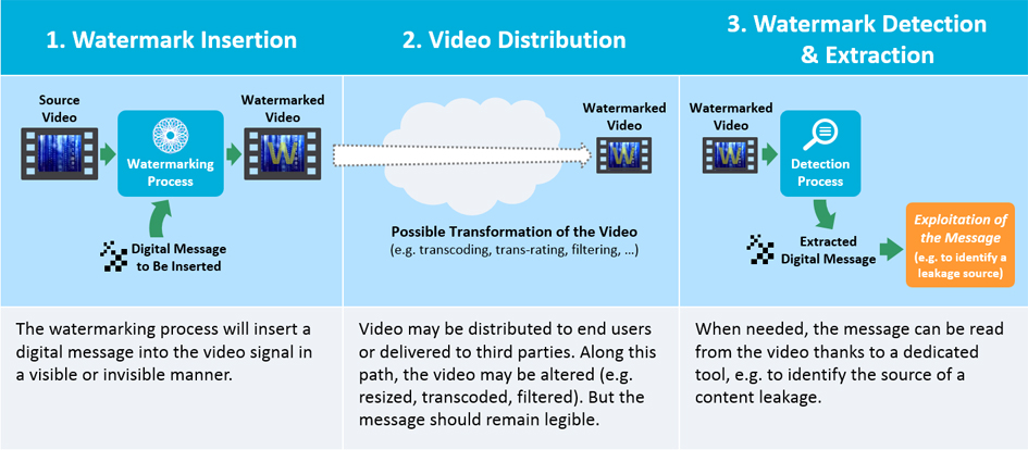The video watermarking process
